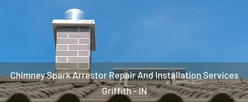  Chimney Spark Arrestor Repair And Installation Services Griffith - IN